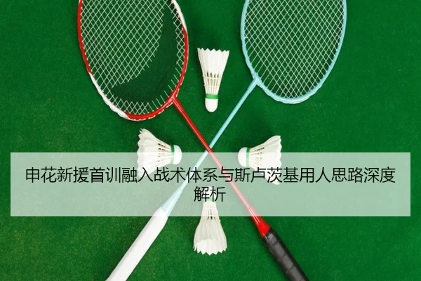 申花新援首训融入战术体系与斯卢茨基用人思路深度解析